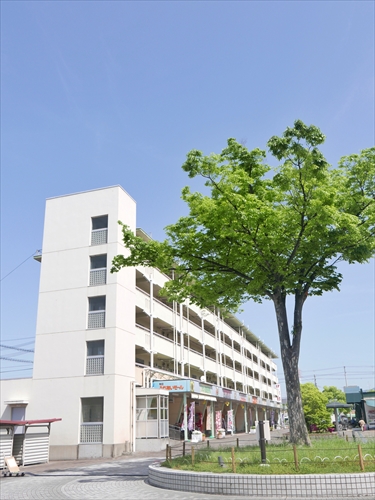 第３回つながりウォーク 社会福祉法人健康会