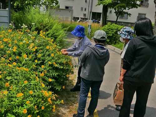 第4回つながりウォーク 社会福祉法人健康会