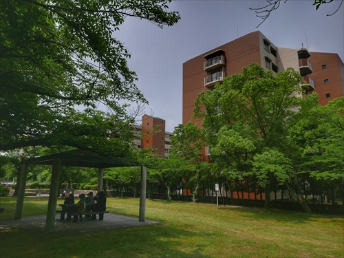 第4回つながりウォーク 社会福祉法人健康会