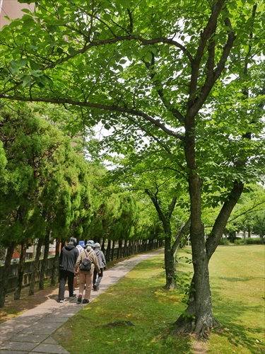 第4回つながりウォーク 社会福祉法人健康会