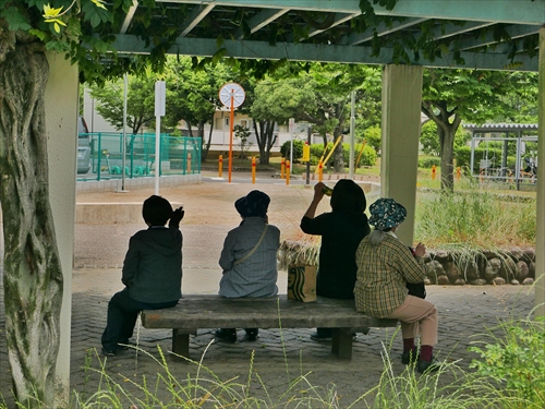 第4回つながりウォーク 社会福祉法人健康会