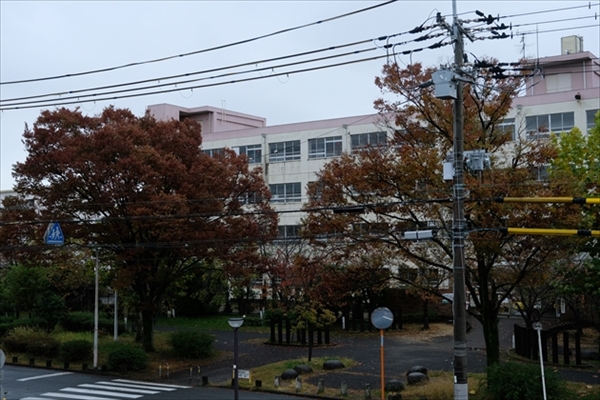社会福祉法人 健康会「つながりサロン」